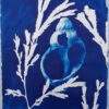 Calming cyanotype of shell and seaweed